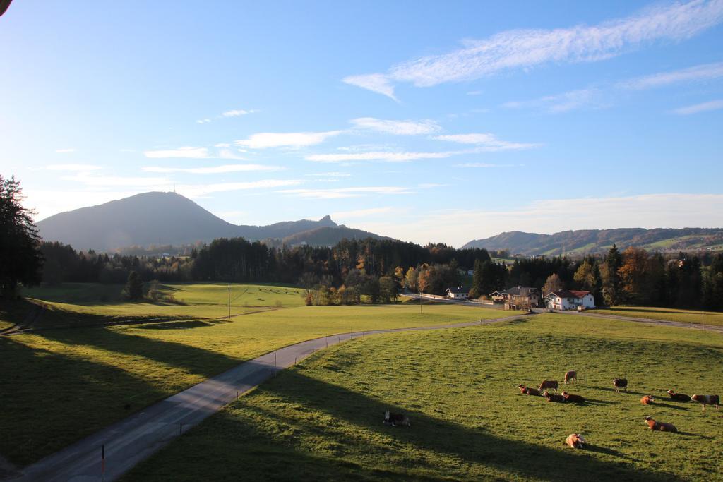 Ferienhof Kehlbauer Hof bei Salzburg Room photo